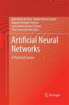 Andrad, Rogerio Andrade Flauzino, Ivan Nune da Silva, Ivan Nunes Da Silva, Silas Franco dos Reis Alves, Danil Hernane Spatti... - Artificial Neural Networks