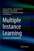 Rafae Bello, Rafael Bello, Chris Cornelis, Francisc Herrera, Francisco Herrera, Dánel Sánchez-Tarragó... - Multiple Instance Learning