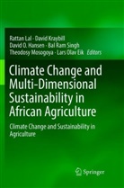 Lars Olav Eik, David O. Hansen, Davi Kraybill, David Kraybill, Rattan Lal, Theodosy Mosogoya... - Climate Change and Multi-Dimensional Sustainability in African Agriculture