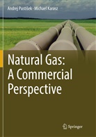 Michael Karasz, Andrej Pusti¿ek, Andre Pustisek, Andrej Pustisek, Andrej Pustišek - Natural Gas: A Commercial Perspective