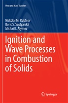M Alymov, Michail I. Alymov, Nickolai Rubtsov, Nickolai M Rubtsov, Nickolai M. Rubtsov, Boris Seplyarskii... - Ignition and Wave Processes in Combustion of Solids