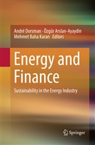Özgü Arslan-Ayaydin, Özgür Arslan-Ayaydin, Mehmet Baha Karan, André Dorsman, Mehmet Baha Karan - Energy and Finance