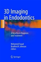 Mohame Fayad, Mohamed Fayad, Bradford R. Johnson, R Johnson, R JOHNSON - 3D Imaging in Endodontics