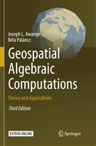 Josep Awange, Joseph Awange, Béla Paláncz - Geospatial Algebraic Computations