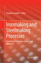 Pasqual Cavaliere, Pasquale Cavaliere - Ironmaking and Steelmaking Processes
