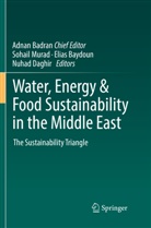 Adnan Badran, Elia Baydoun, Elias Baydoun, Nuhad Daghir, Nuhad Daghir et al, Sohail Murad - Water, Energy & Food Sustainability in the Middle East