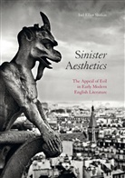 Joel Elliot Slotkin - Sinister Aesthetics