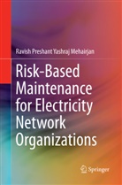 Ravish Preshant Yashraj Mehairjan - Risk-Based Maintenance for Electricity Network Organizations