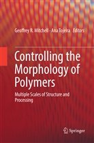 Geoffrey R. Mitchell, Geoffre R Mitchell, Geoffrey R Mitchell, Tojeira, Tojeira, Ana Tojeira - Controlling the Morphology of Polymers