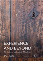 Jan Faye - Experience and Beyond