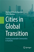 Salim Momtaz, Raymond Charle Rauscher, Raymond Charles Rauscher - Cities in Global Transition