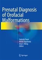 Amy E Wong, Wald Sepulveda, Waldo Sepulveda, Gabriele Tonni, Amy E. Wong - Prenatal Diagnosis of Orofacial Malformations