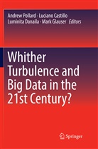 Lucian Castillo, Luciano Castillo, Luminita Danaila, Luminita Danaila et al, Mark Glauser, Andrew Pollard - Whither Turbulence and Big Data in the 21st Century?