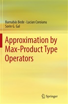 Barnabá Bede, Barnabás Bede, Lucia Coroianu, Lucian Coroianu, Sorin G Gal, Sorin G. Gal - Approximation by Max-Product Type Operators
