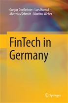 Grego Dorfleitner, Gregor Dorfleitner, Lar Hornuf, Lars Hornuf, Matthias Schmitt, Martina Weber - FinTech in Germany
