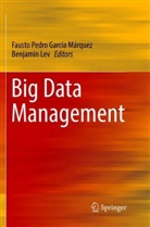 Fausto Pedro García Márquez, Lev, Lev, Benjamin Lev, Faust Pedro García Márquez, Fausto Pedro García Márquez - Big Data Management