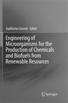 Guillerm Gosset, Guillermo Gosset - Engineering of Microorganisms for the Production of Chemicals and Biofuels from Renewable Resources