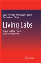 Olivi Guerra-Santin, Olivia Guerra-Santin, David V. Keyson, Dan Lockton - Living Labs