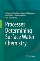 Pet Linnik, Petro Linnik, Bogda Nabyvanets, Bogdan Nabyvanets, Yurii Nabyvanets, Nataliia Osadcha... - Processes Determining Surface Water Chemistry