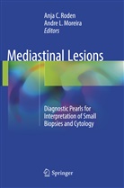 Anj C Roden, Anja C Roden, L Moreira, L Moreira, Andre L. Moreira, Anja C. Roden - Mediastinal Lesions