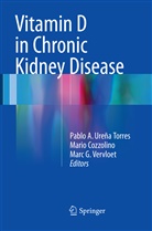 Mari Cozzolino, Mario Cozzolino, Marc G Vervloet, Pablo A. Ureña Torres, Marc G. Vervloet - Vitamin D in Chronic Kidney Disease