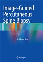 A Orlando Ortiz, A. Orlando Ortiz - Image-Guided Percutaneous Spine Biopsy