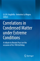 G. G. N. Angilella, G N Angilella, G G N Angilella, La Magna, La Magna, Antonino La Magna - Correlations in Condensed Matter under Extreme Conditions