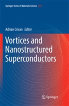 Adria Crisan, Adrian Crisan - Vortices and Nanostructured Superconductors