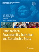 Hans Günter Brauch, John Grin, John Grin et al, Úrsul Oswald Spring, Úrsula Oswald Spring, Jürgen Scheffran - Handbook on Sustainability Transition and Sustainable Peace