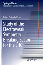 Rafael Delgado López - Study of the Electroweak Symmetry Breaking Sector for the LHC