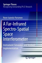 Roser Juanola-Parramon - A Far-Infrared Spectro-Spatial Space Interferometer