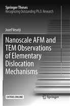Jozef Veselý - Nanoscale AFM and TEM Observations of Elementary Dislocation Mechanisms