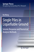 Rui Wang - Single Piles in Liquefiable Ground