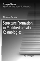 Alexandre Barreira - Structure Formation in Modified Gravity Cosmologies