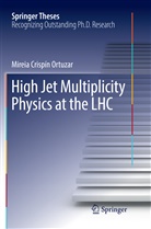 Mireia Crispín Ortuzar - High Jet Multiplicity Physics at the LHC