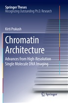 Kirti Prakash - Chromatin Architecture