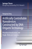 Yangyang Yang - Artificially Controllable Nanodevices Constructed by DNA Origami Technology