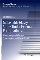 Corrado Rainone - Metastable Glassy States Under External Perturbations