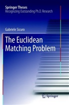Gabriele Sicuro - The Euclidean Matching Problem
