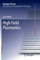 Luca Fedeli - High Field Plasmonics