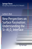 Lachlan E Black, Lachlan E. Black - New Perspectives on Surface Passivation: Understanding the Si-Al2O3 Interface