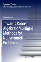 James Lottes - Towards Robust Algebraic Multigrid Methods for Nonsymmetric Problems
