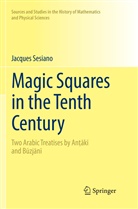 Jacques Sesiano - Magic Squares in the Tenth Century