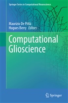 Berry, Berry, Hugues Berry, Maurizi De Pittà, Maurizio De Pittà - Computational Glioscience