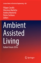 Filippo Cavallo, Vincenz Marletta, Vincenzo Marletta, Andrea Monteriù, Andrea Monteriù et al, Pietro Siciliano - Ambient Assisted Living