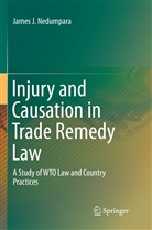 James J Nedumpara, James J. Nedumpara - Injury and Causation in Trade Remedy Law