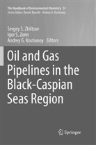 Andrey G Kostianoy, Andrey G. Kostianoy, Igo S Zonn, Igor S Zonn, Sergey S. Zhiltsov, Igor S. Zonn - The Handbook of Environmental Chemistry - 51: Oil and Gas Pipelines in the Black-Caspian Seas Region