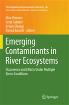 Damià Barceló, Arturo Elosegi, Arturo Elosegi et al, Mira Petrovic, Serg Sabater, Sergi Sabater - The Handbook of Environmental Chemistry - 46: Emerging Contaminants in River Ecosystems