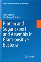 Fabi Bagnoli, Fabio Bagnoli, Rappuoli, Rappuoli, Rino Rappuoli - Protein and Sugar Export and Assembly in Gram-positive Bacteria