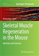Michae Kyba, Michael Kyba - Skeletal Muscle Regeneration in the Mouse